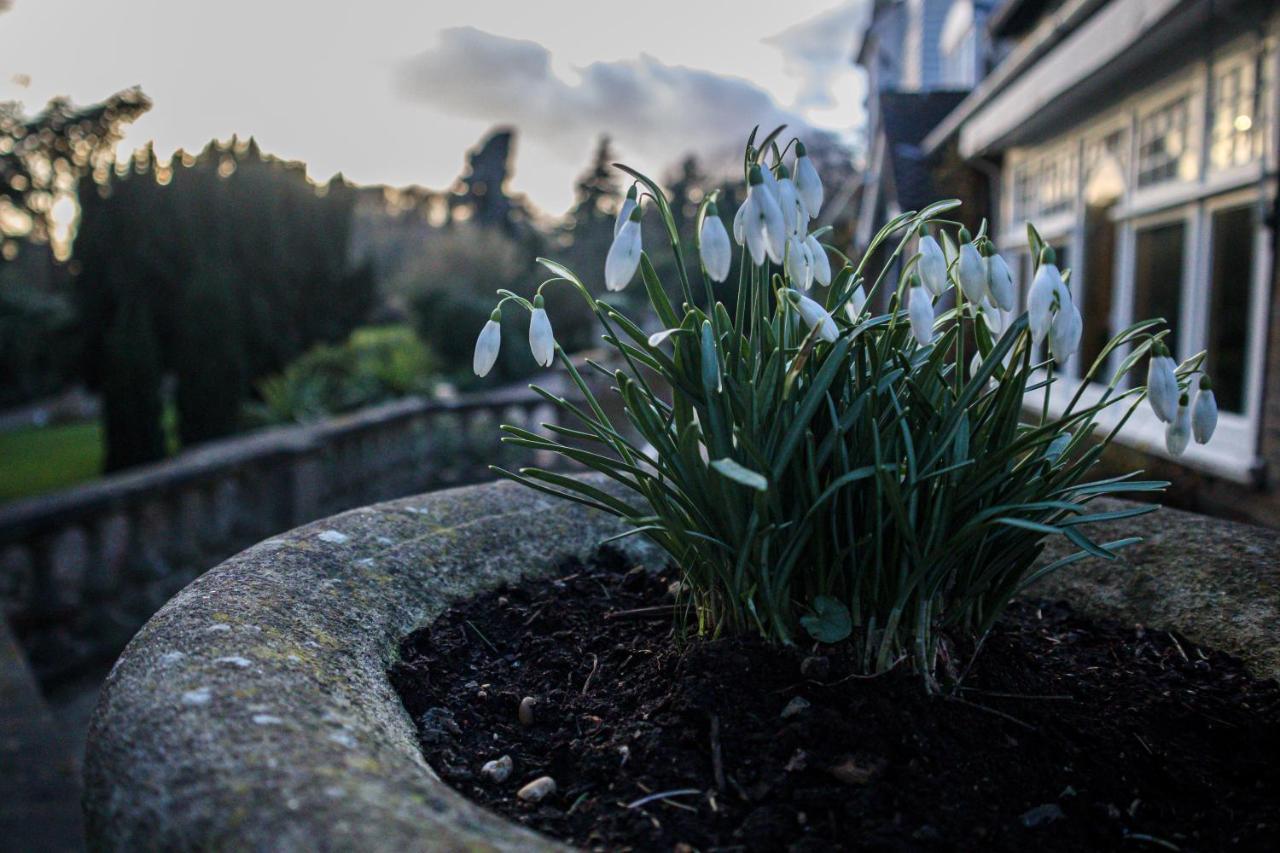 Rowhill Grange Hotel & Utopia Spa Dartford Luaran gambar